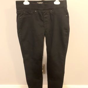 Signature Levi Strauss Jeans